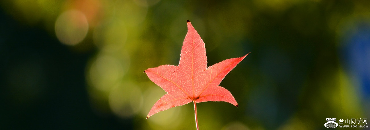 DSC_3244_12.jpg