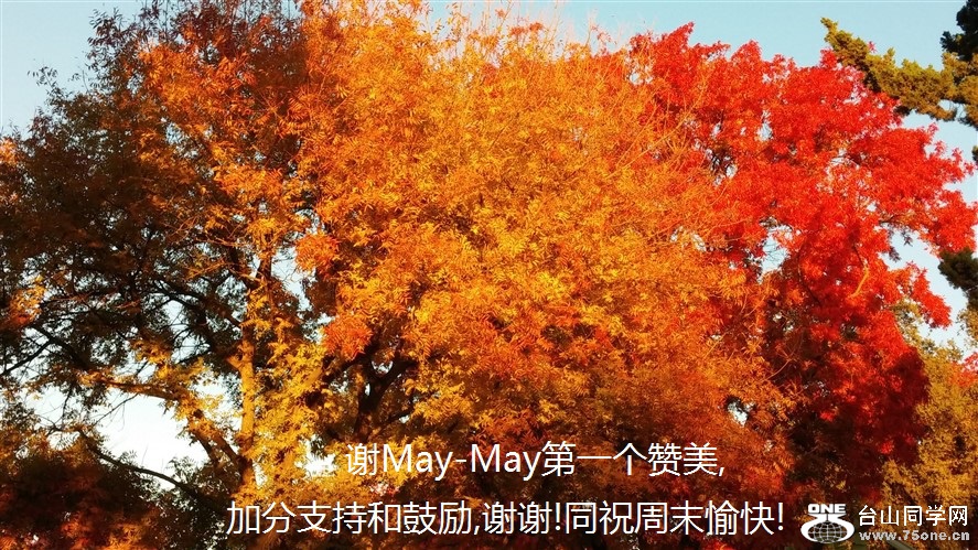 谢May-May第一个赞美,加分支持和鼓励,谢谢!同祝周末愉快!.jpg