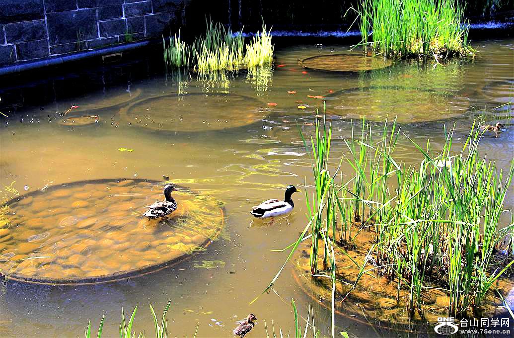 IMG_5159.JPG