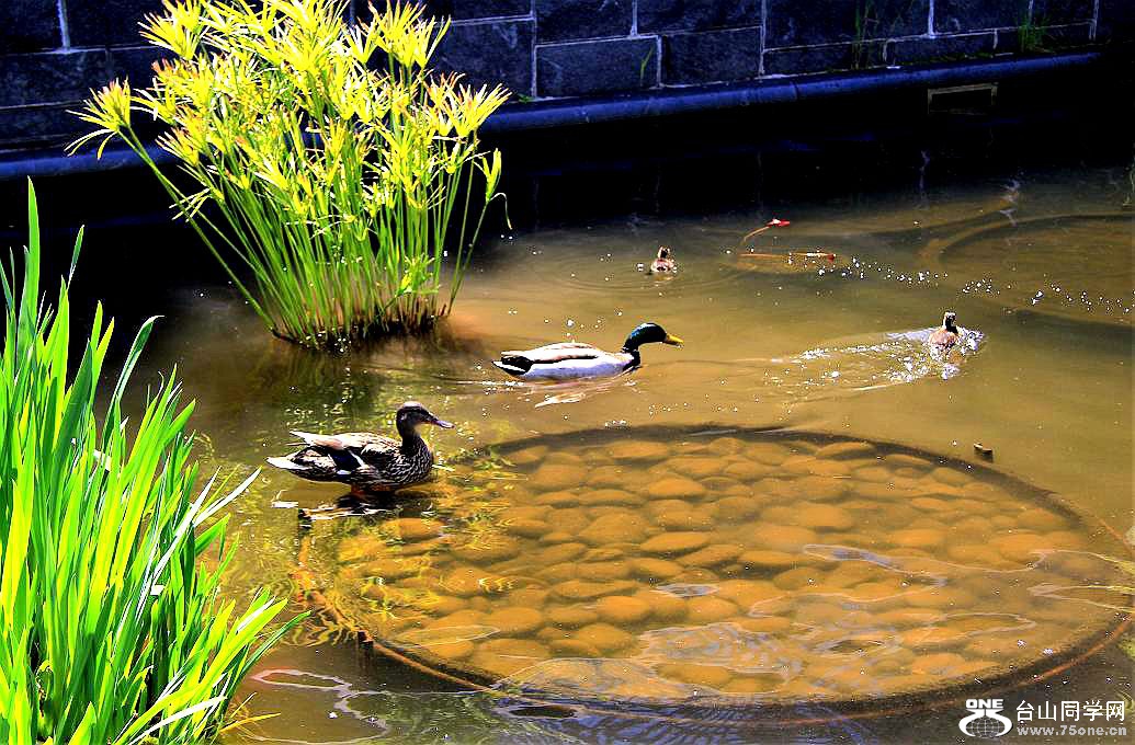 IMG_5156.JPG