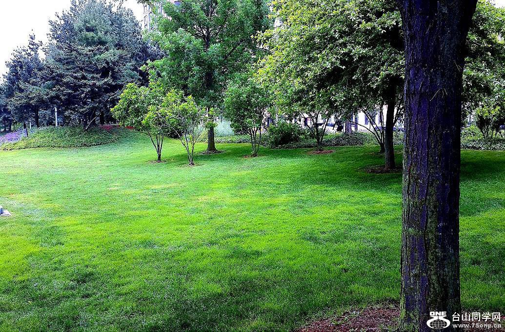 20160603_114844.jpg