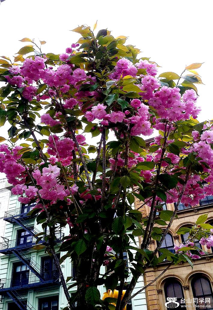 20160504_235229.jpg