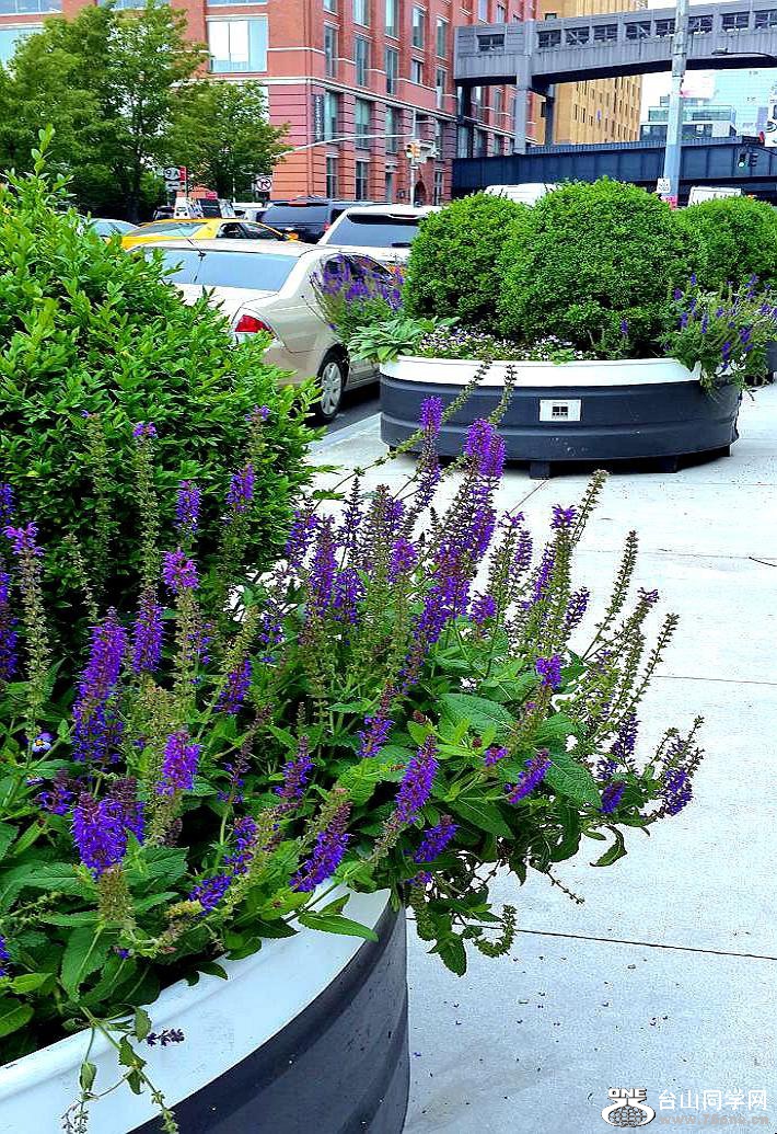 20160603_120753.jpg