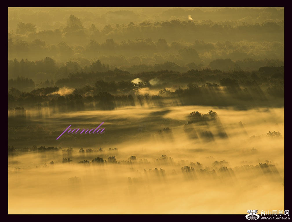 DSC_9479-2.jpg