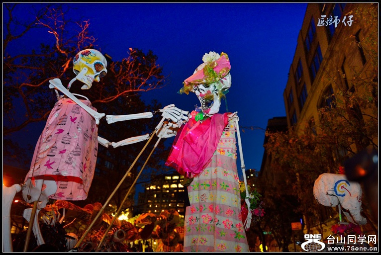 DSC_5080.jpg