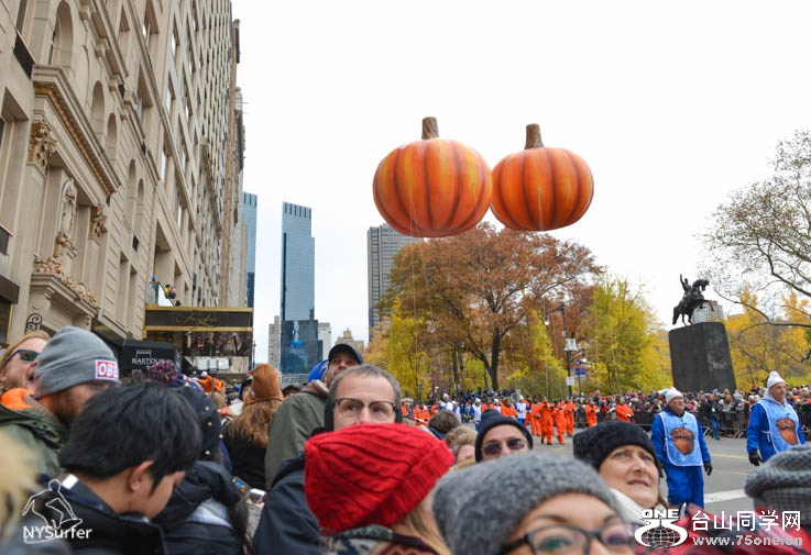 DSC_b6338.jpg