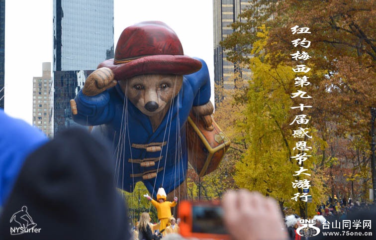 DSC_a15678.jpg