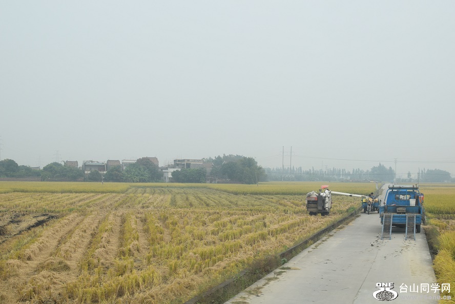 DSC_2355.JPG