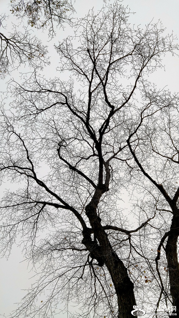 20161023_142115_HDR.jpg