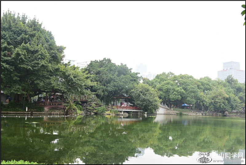 DSC_4861.jpg