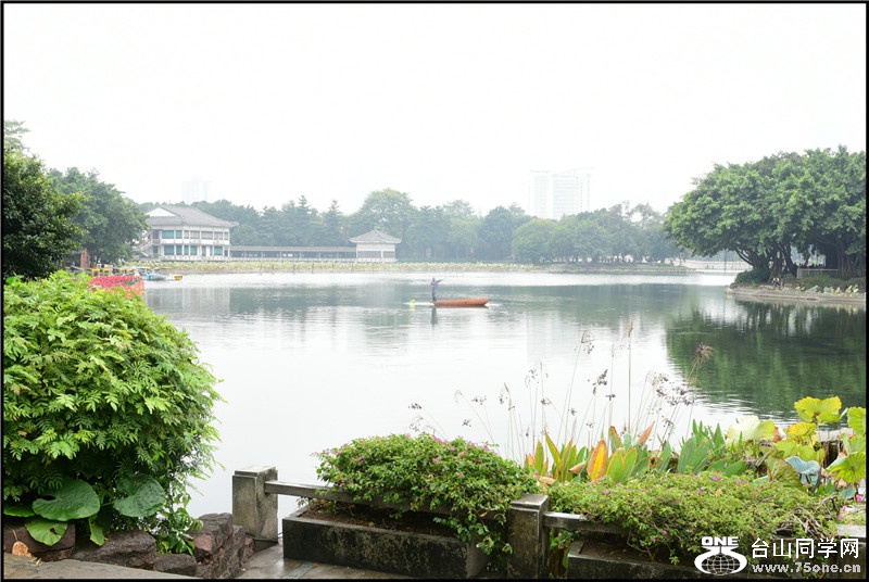 DSC_4805 - Copy.jpg