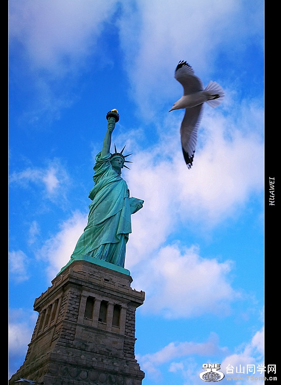 IMG_20161203_150135_1.jpg