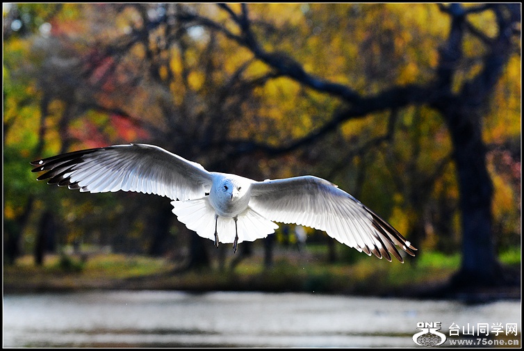 DSC_7226.JPG