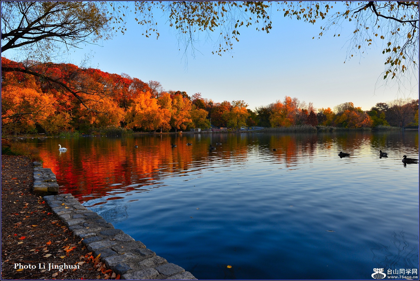 DSC_8218.jpg