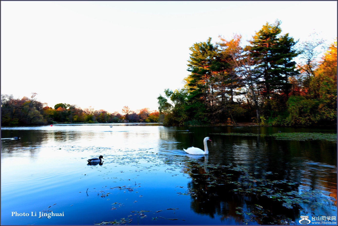 DSC_7424-2.jpg
