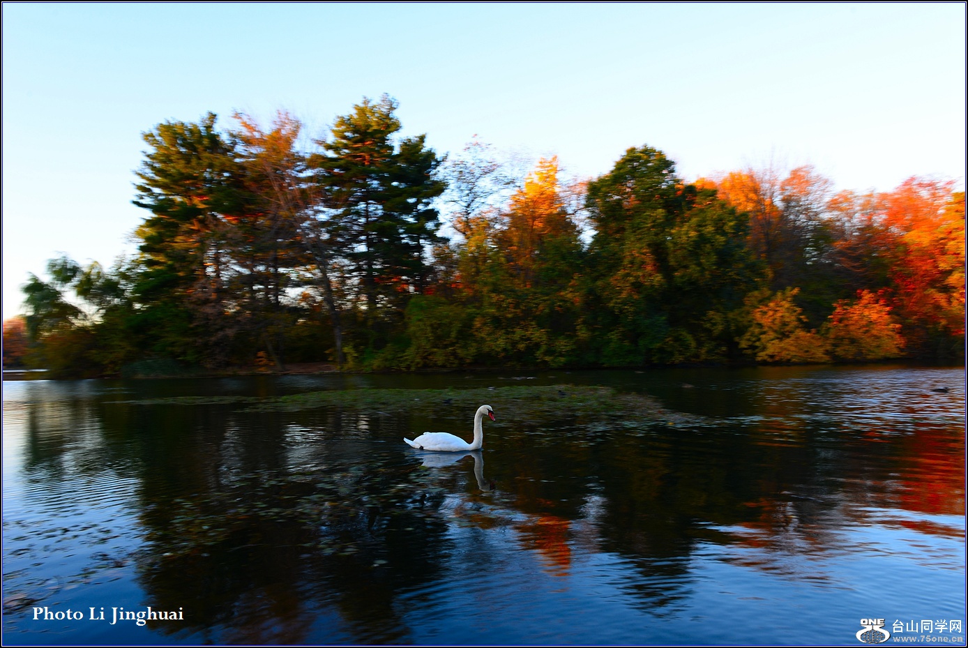 DSC_7427.jpg