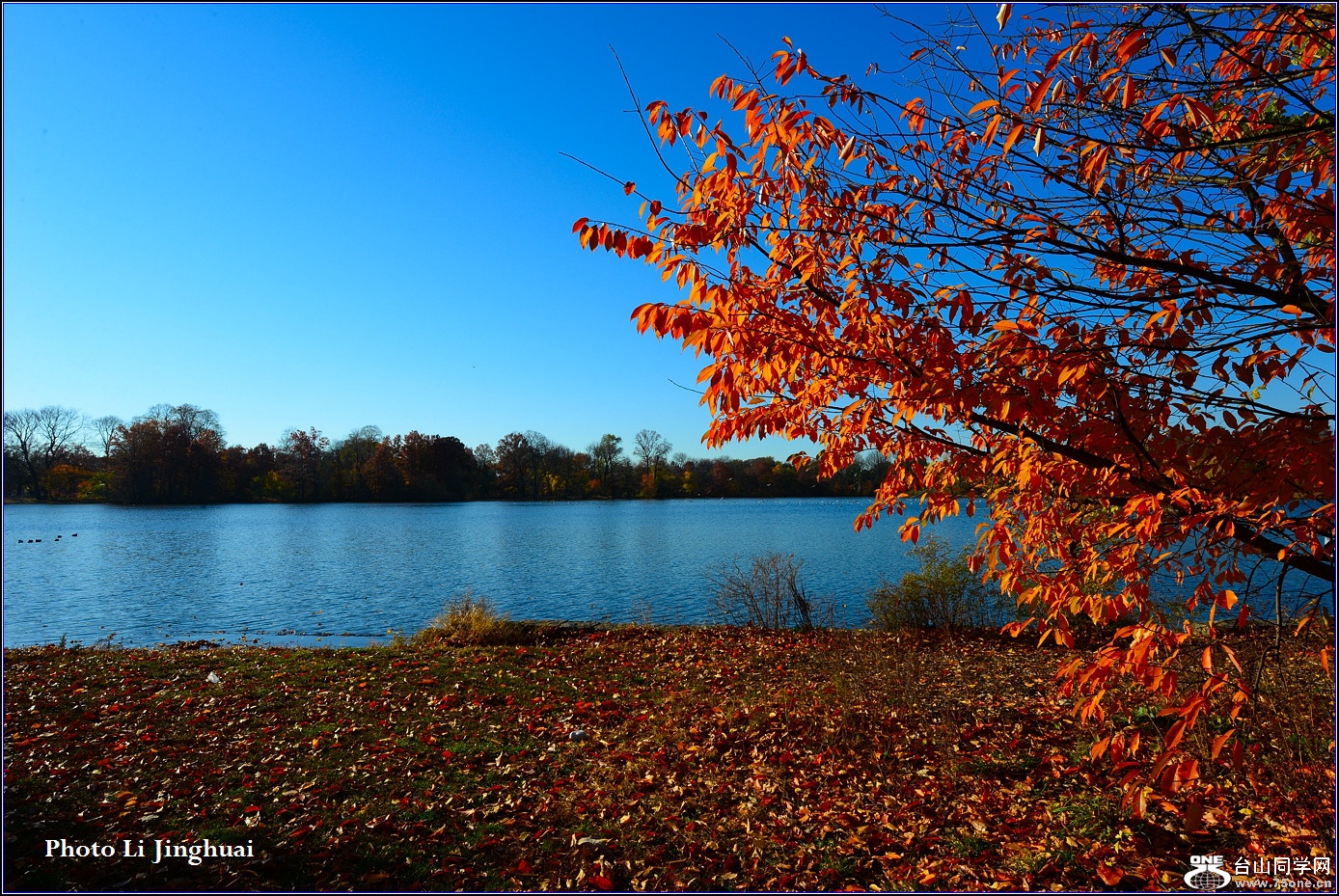 DSC_8577_.jpg