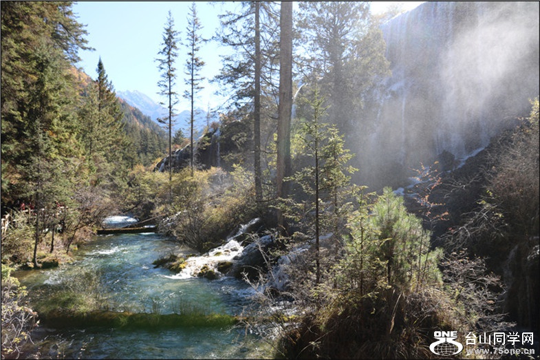 IMG_7535.jpg