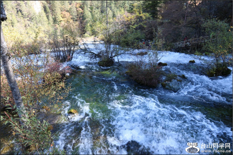 IMG_7512.jpg