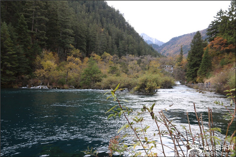 IMG_7613.jpg