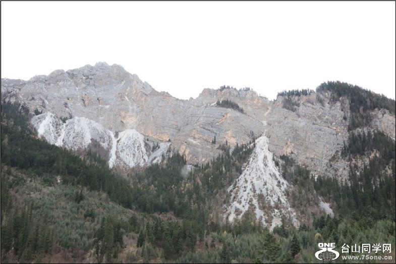 IMG_7570.jpg
