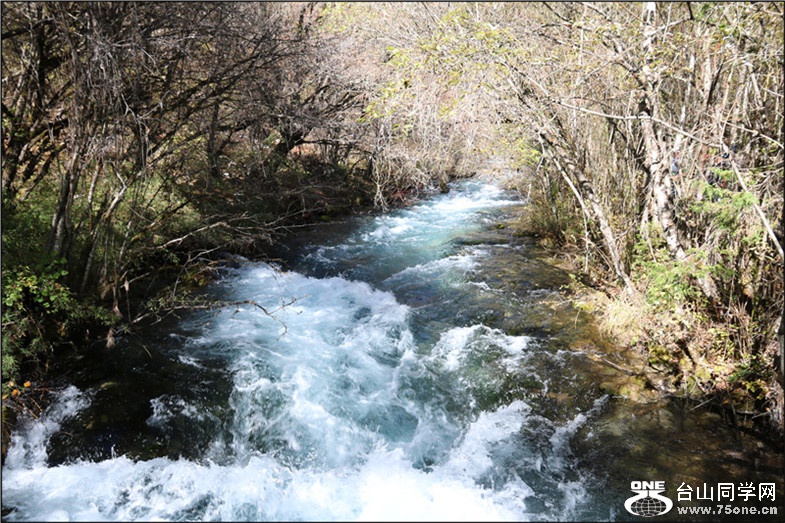 IMG_7555.jpg