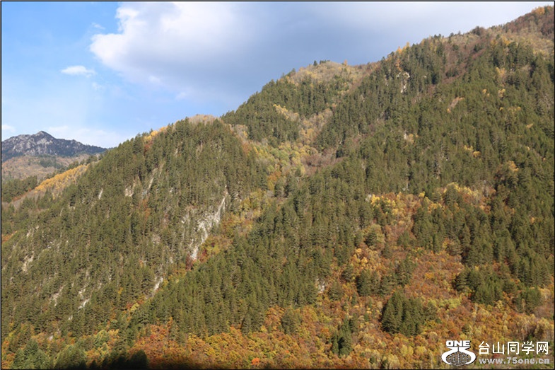 IMG_7631.jpg