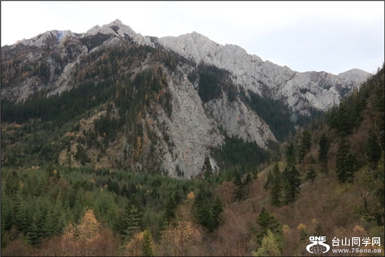 IMG_7575.jpg