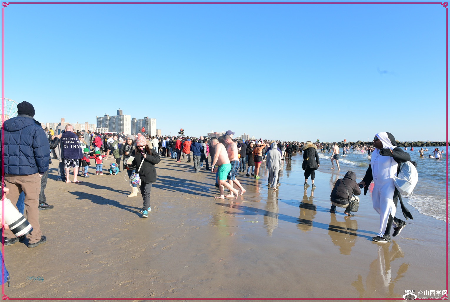 DSC_7702.jpg