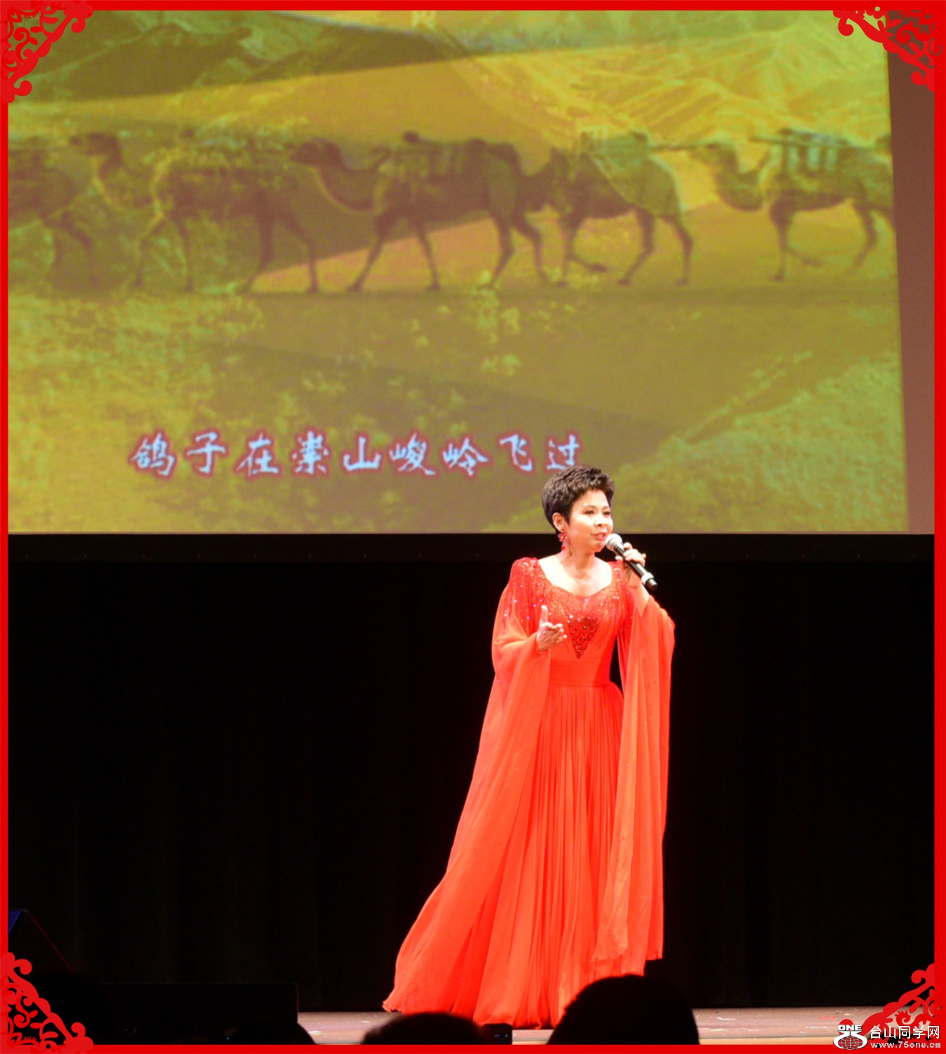 DSC_8709.jpg