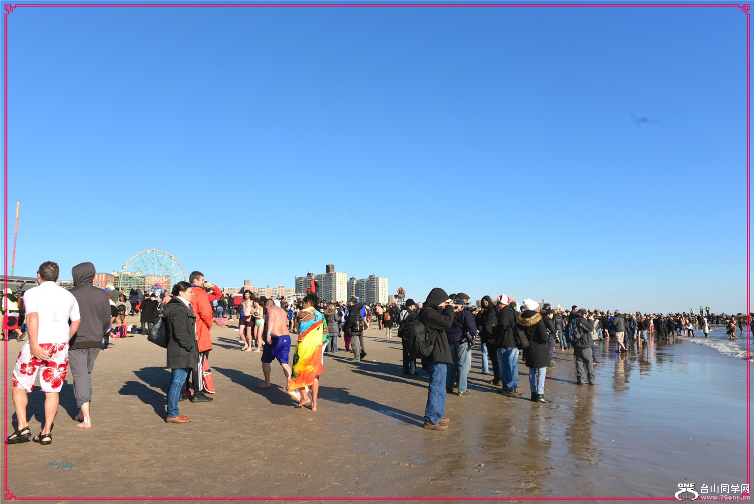 DSC_7715.jpg