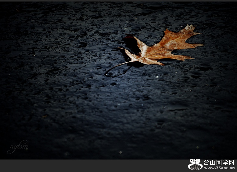 DSC_9769_.jpg