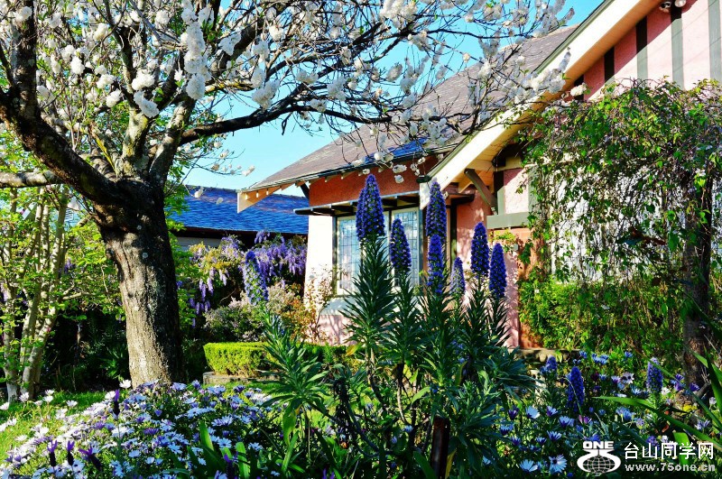 DSC_4488_conew1.jpg