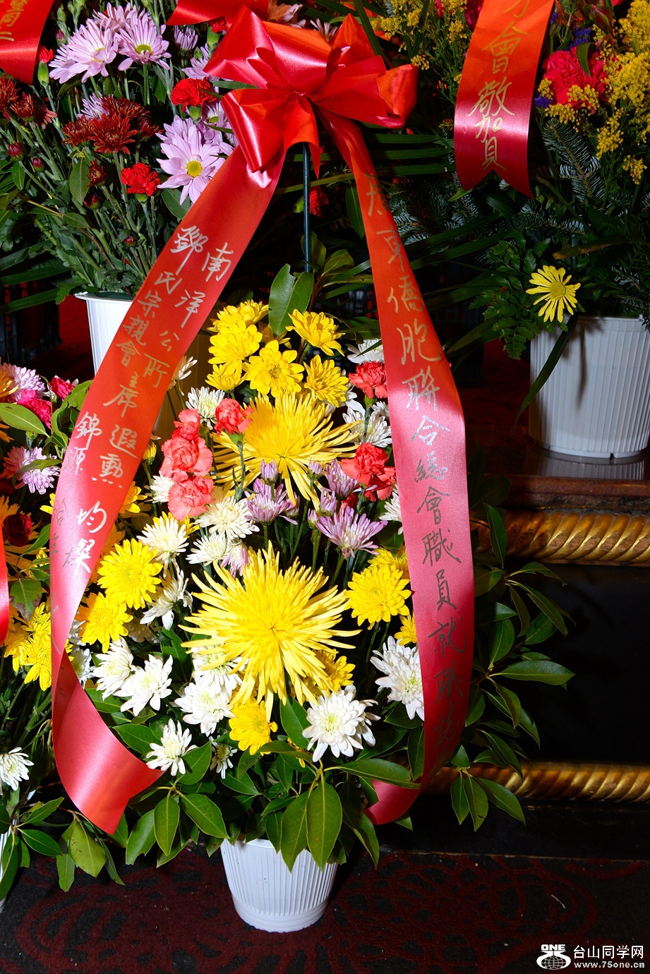 DSC_3289.jpg