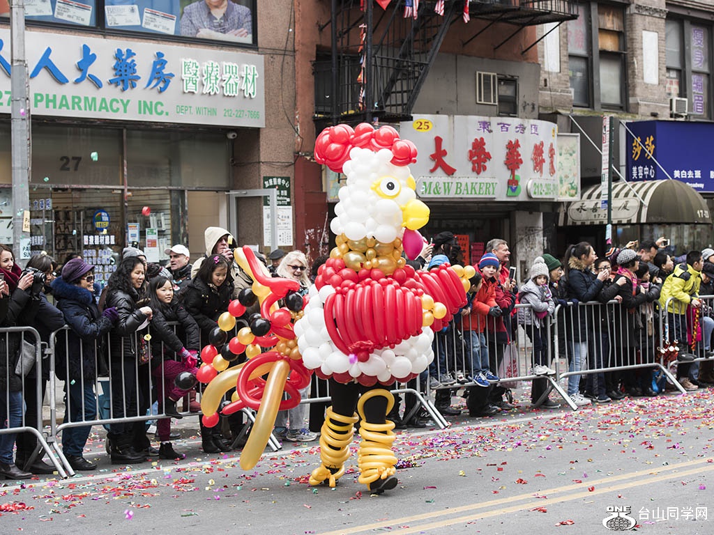 DSC_6536.jpg