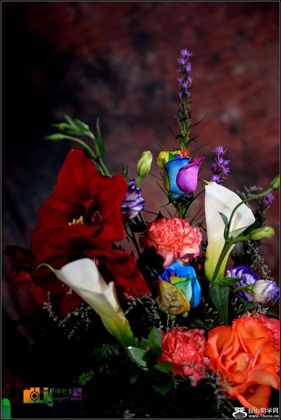 DSC_4754-2_.jpg