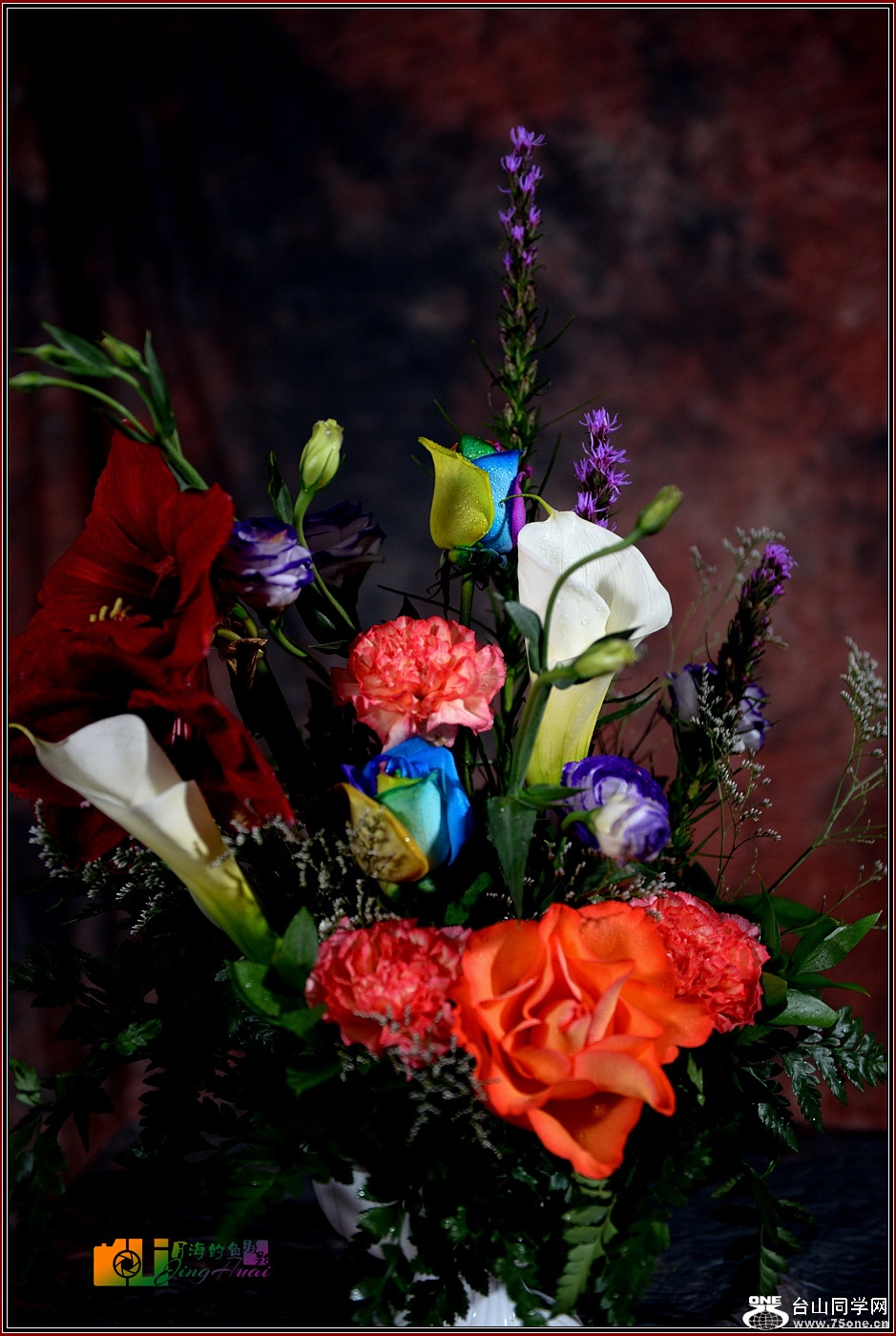DSC_4744-2_.jpg