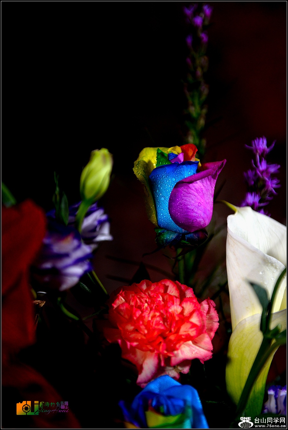 DSC_4752-2_.jpg