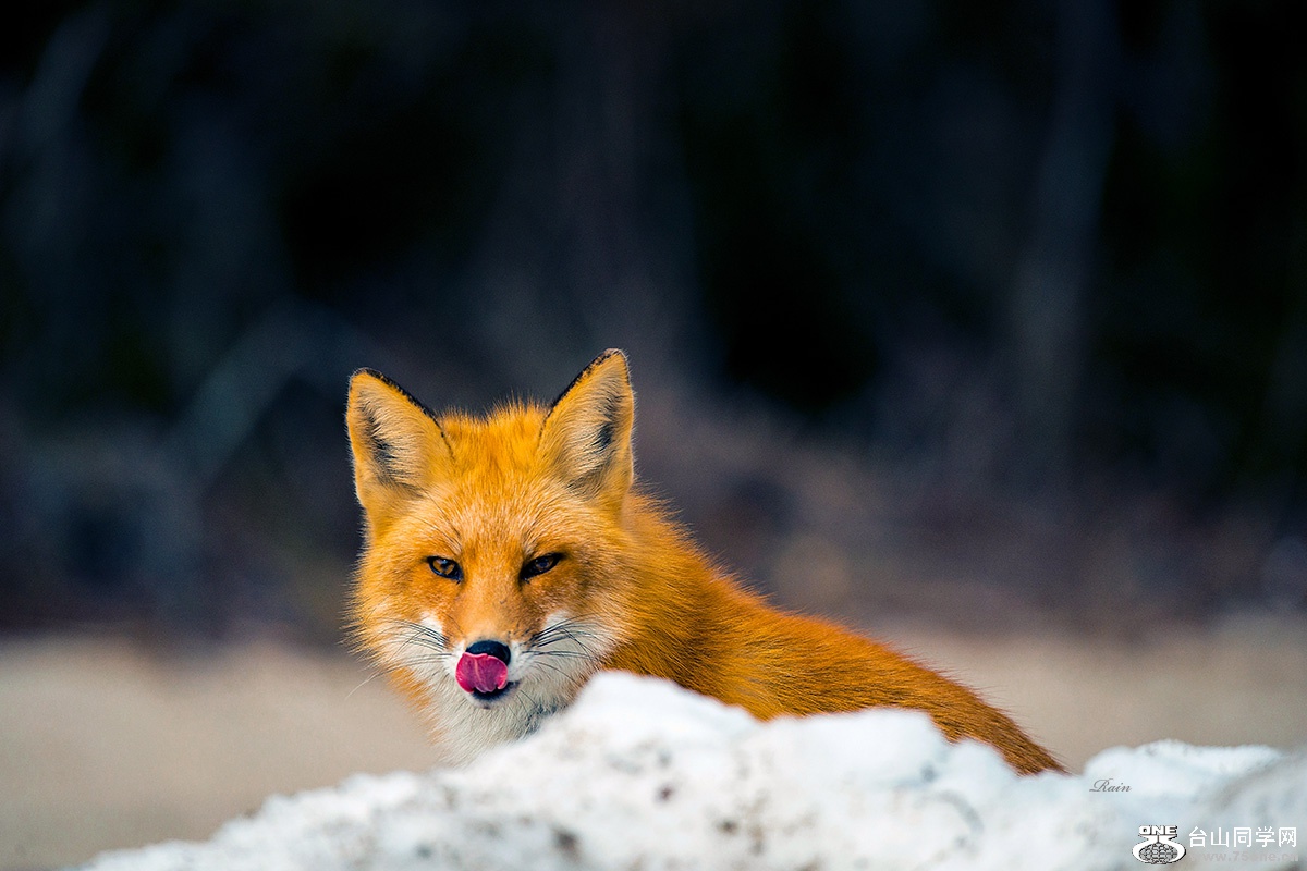 _DSC7067a.jpg