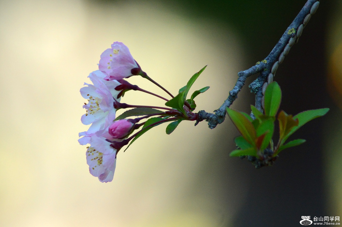 DSC_9812_22.jpg