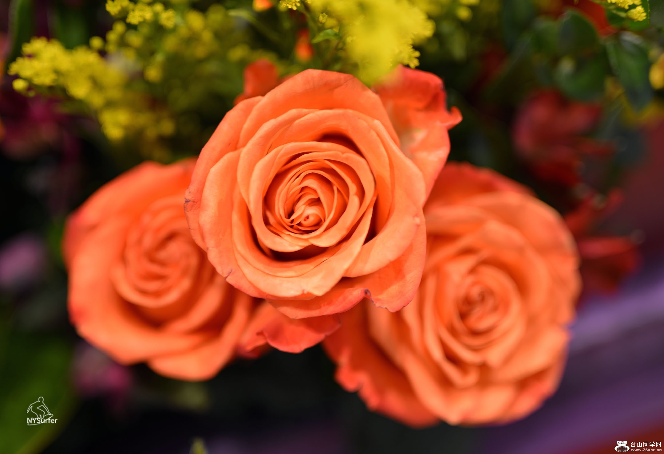 DSC_21136.jpg