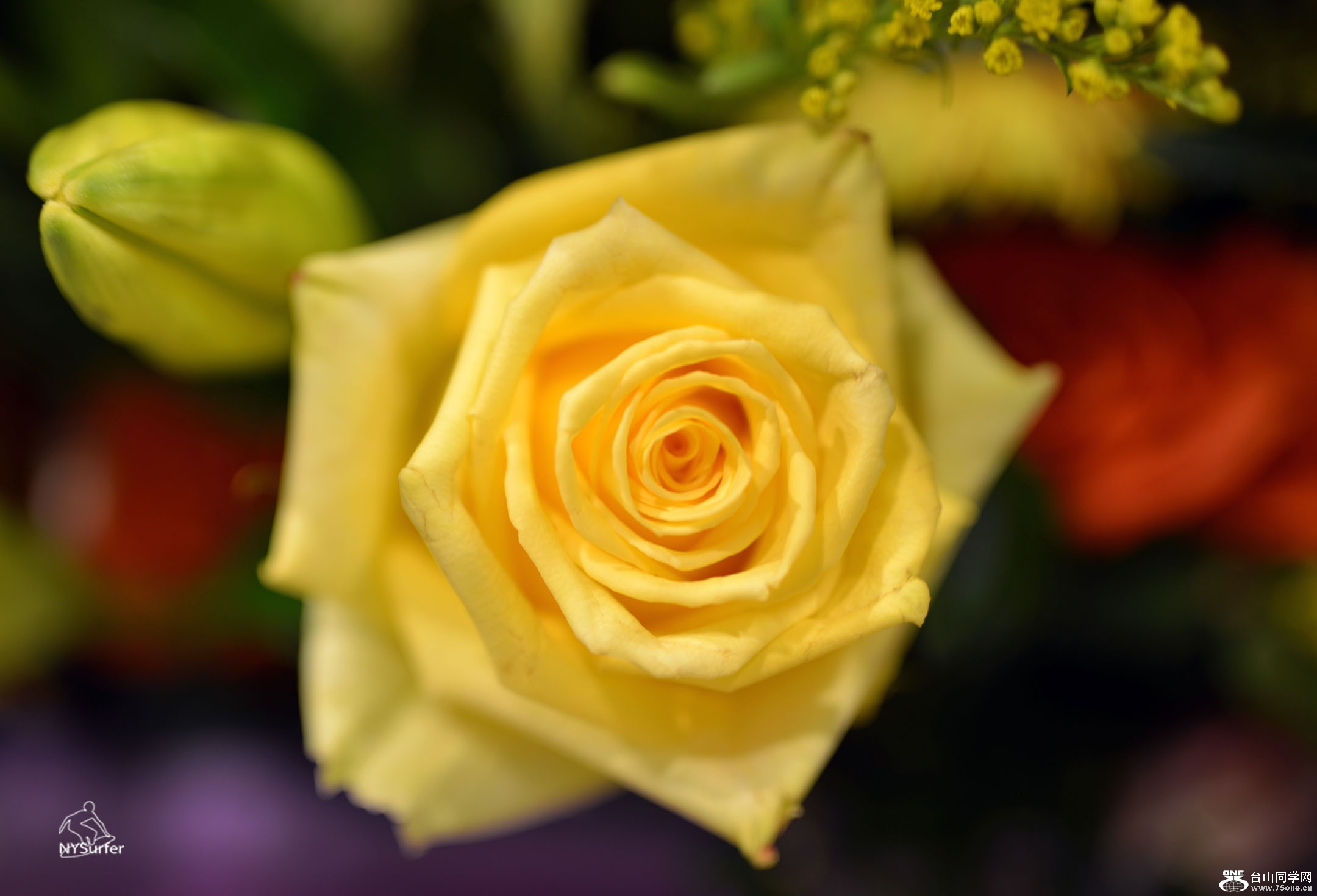 DSC_21137.jpg