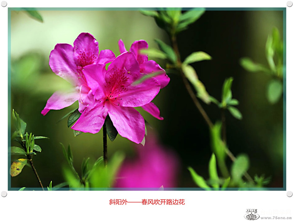 257A96542015.2.25_.jpg