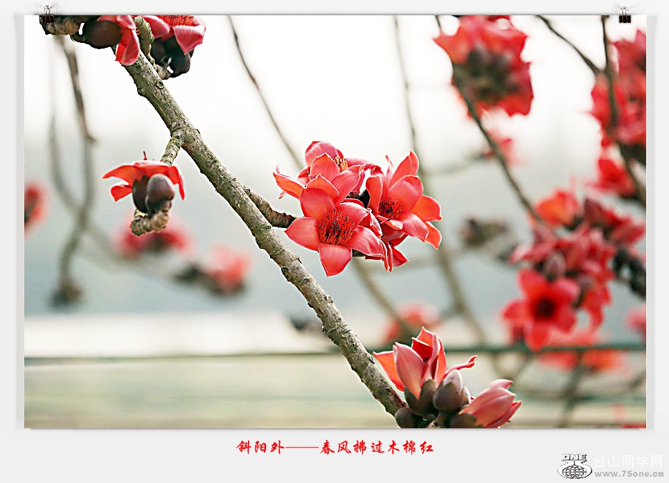 257A05512015.2.25_.jpg