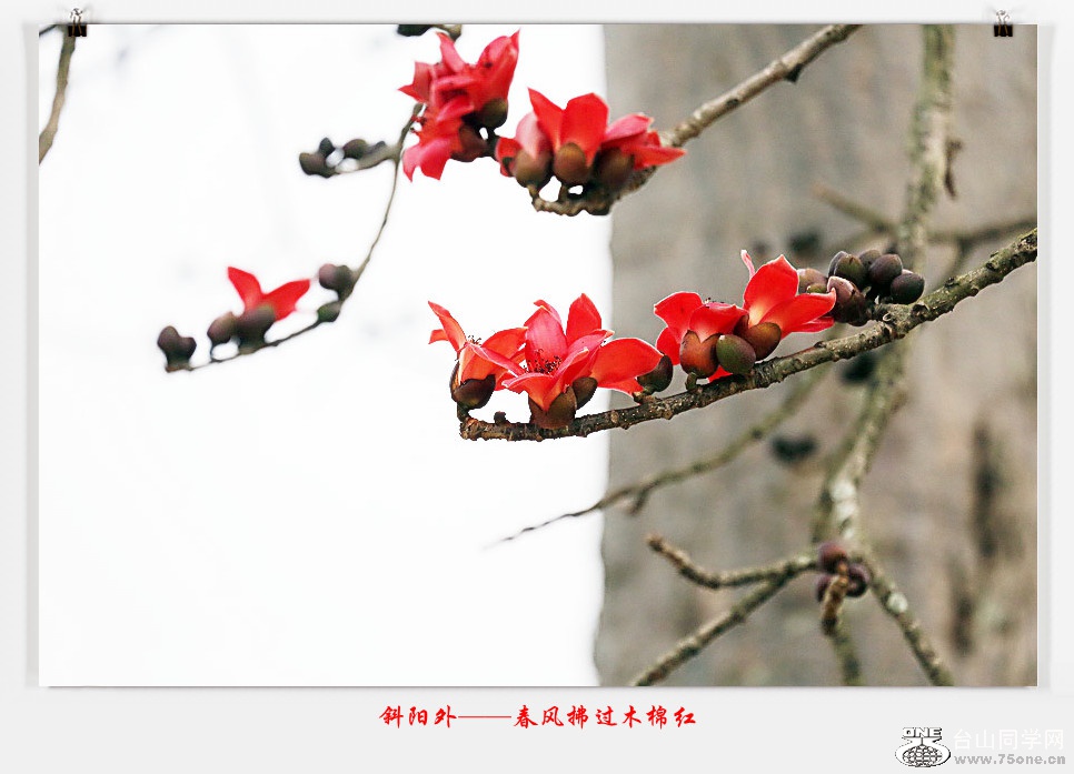 257A05012015.2.25_.jpg
