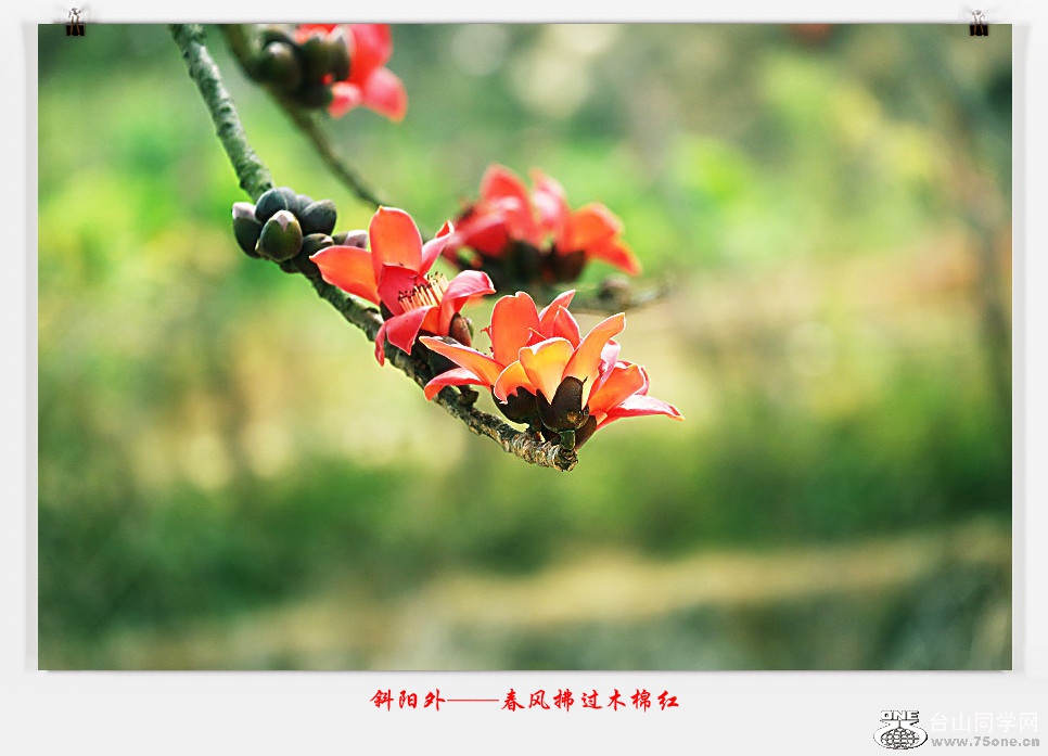 257A05472015.2.25_.jpg
