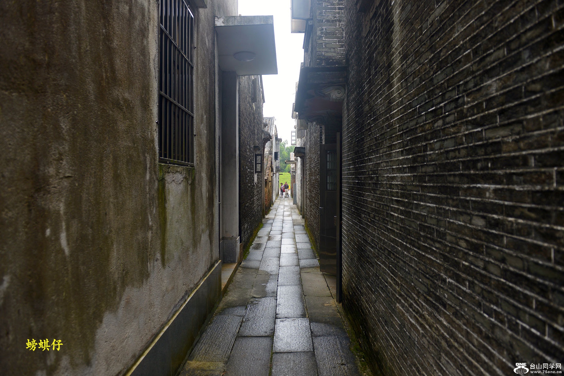 DSC_151294.jpg