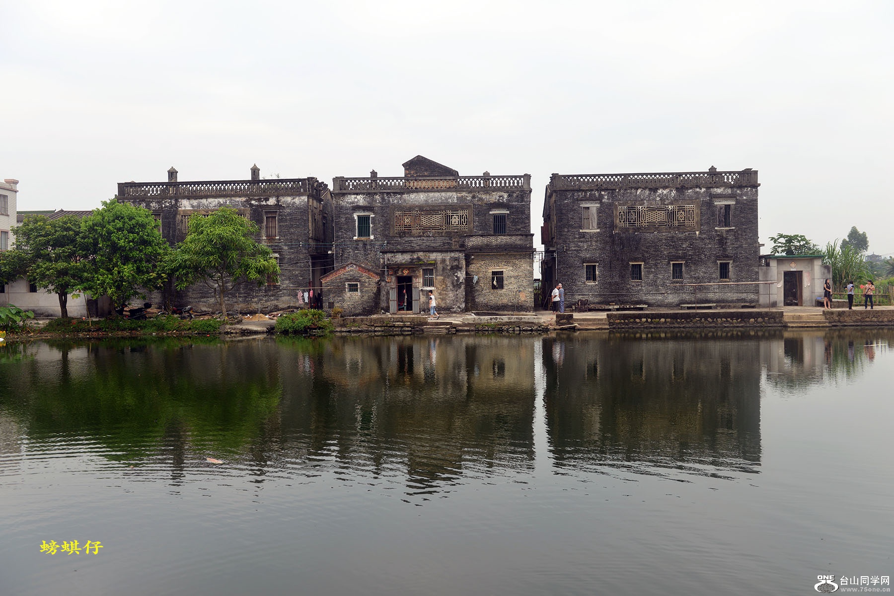 DSC_180655.jpg