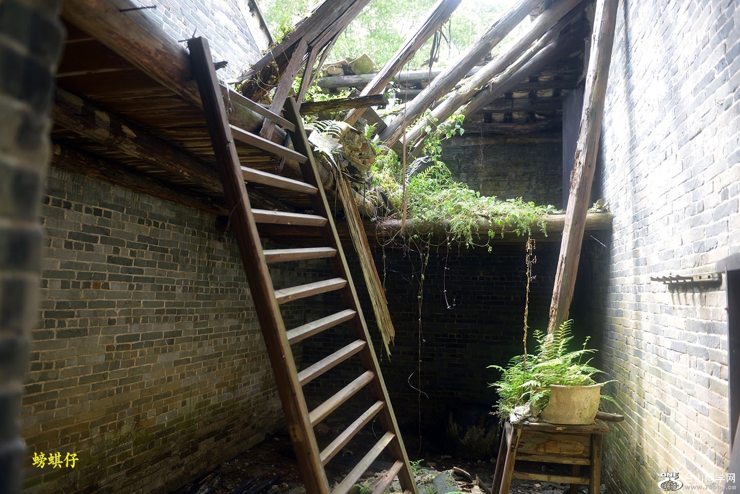 DSC_1916104.jpg