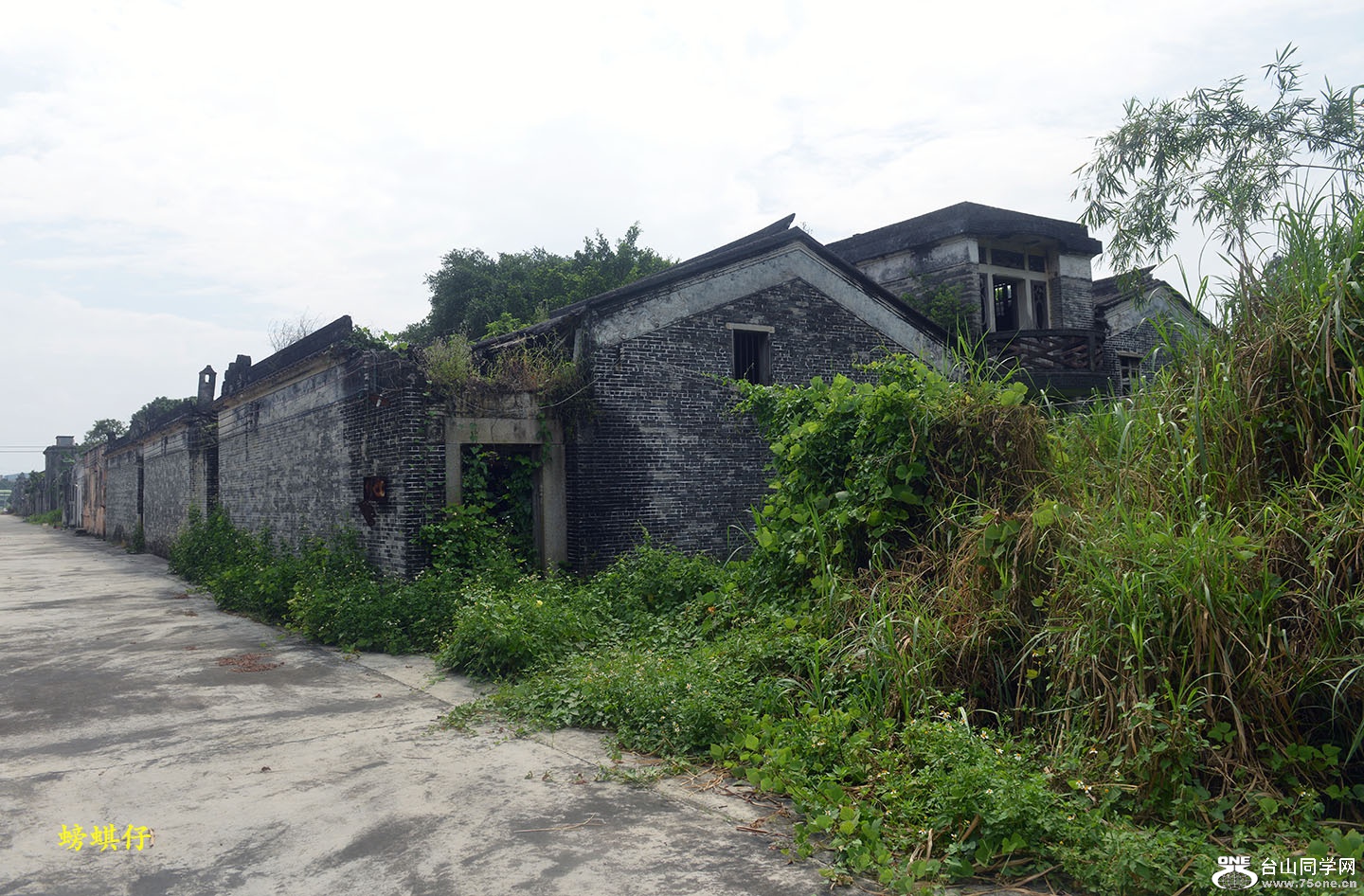 DSC_1900108.jpg